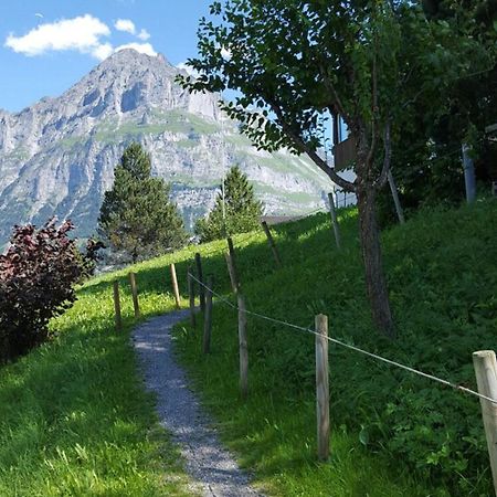 Chalet Waergistal Grindelwald Dış mekan fotoğraf