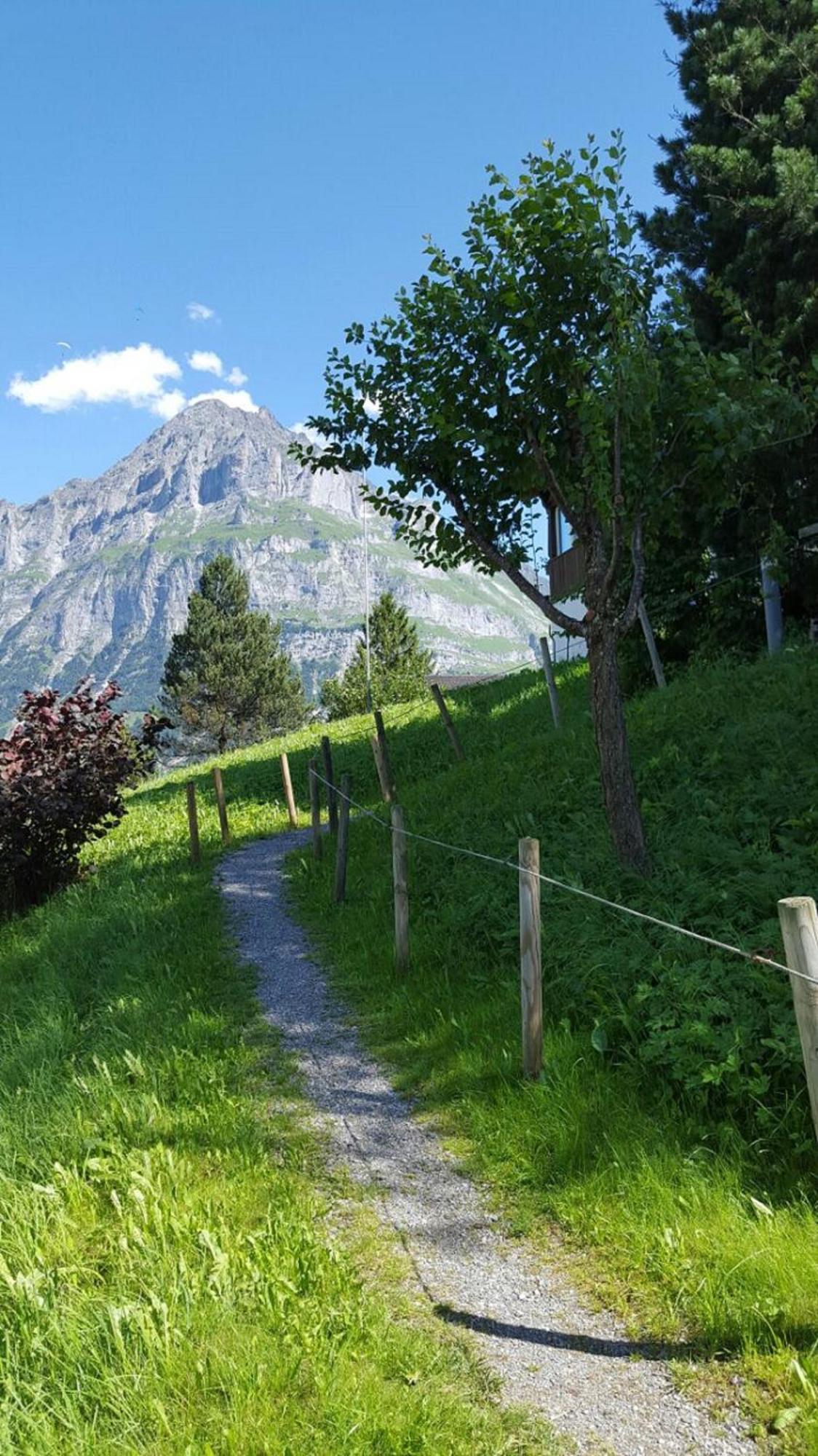 Chalet Waergistal Grindelwald Dış mekan fotoğraf