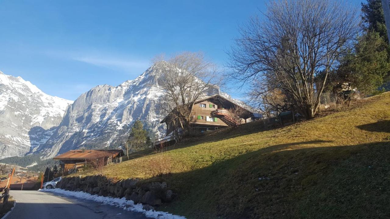 Chalet Waergistal Grindelwald Dış mekan fotoğraf