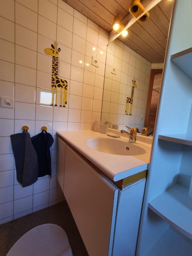Chalet Waergistal Grindelwald Dış mekan fotoğraf