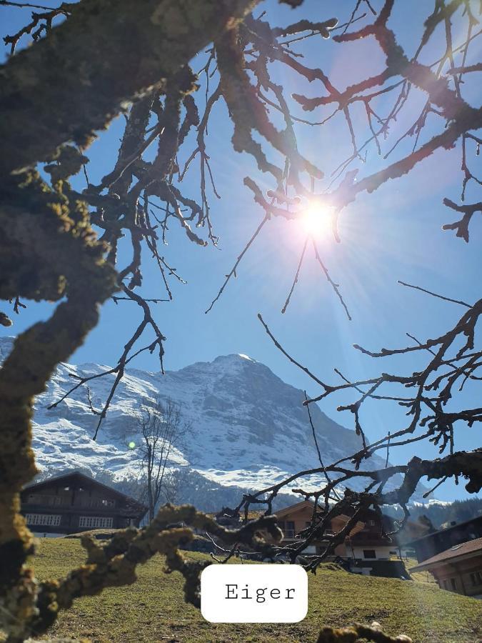Chalet Waergistal Grindelwald Dış mekan fotoğraf