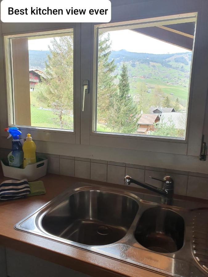 Chalet Waergistal Grindelwald Dış mekan fotoğraf