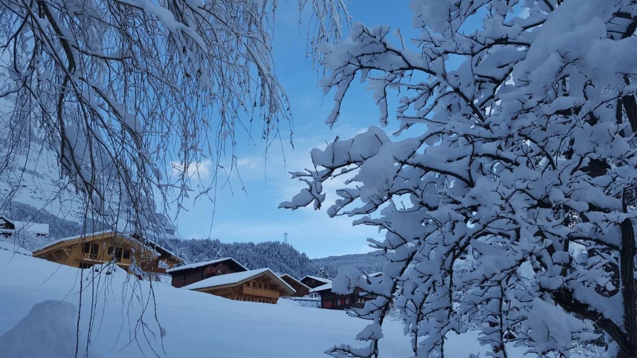 Chalet Waergistal Grindelwald Dış mekan fotoğraf
