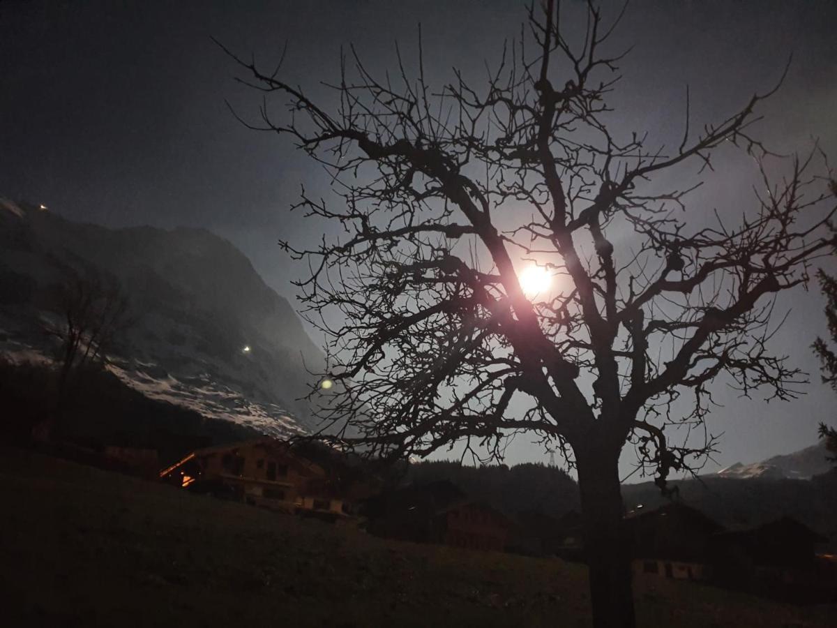 Chalet Waergistal Grindelwald Dış mekan fotoğraf