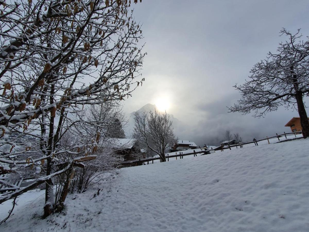 Chalet Waergistal Grindelwald Dış mekan fotoğraf