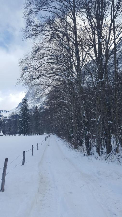 Chalet Waergistal Grindelwald Dış mekan fotoğraf